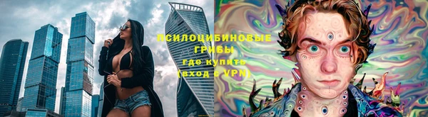 крисы Волоколамск
