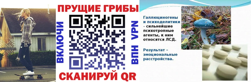Псилоцибиновые грибы Magic Shrooms  hydra ссылки  Черняховск 